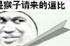 泰州为什么选择专业追讨公司来处理您的债务纠纷？